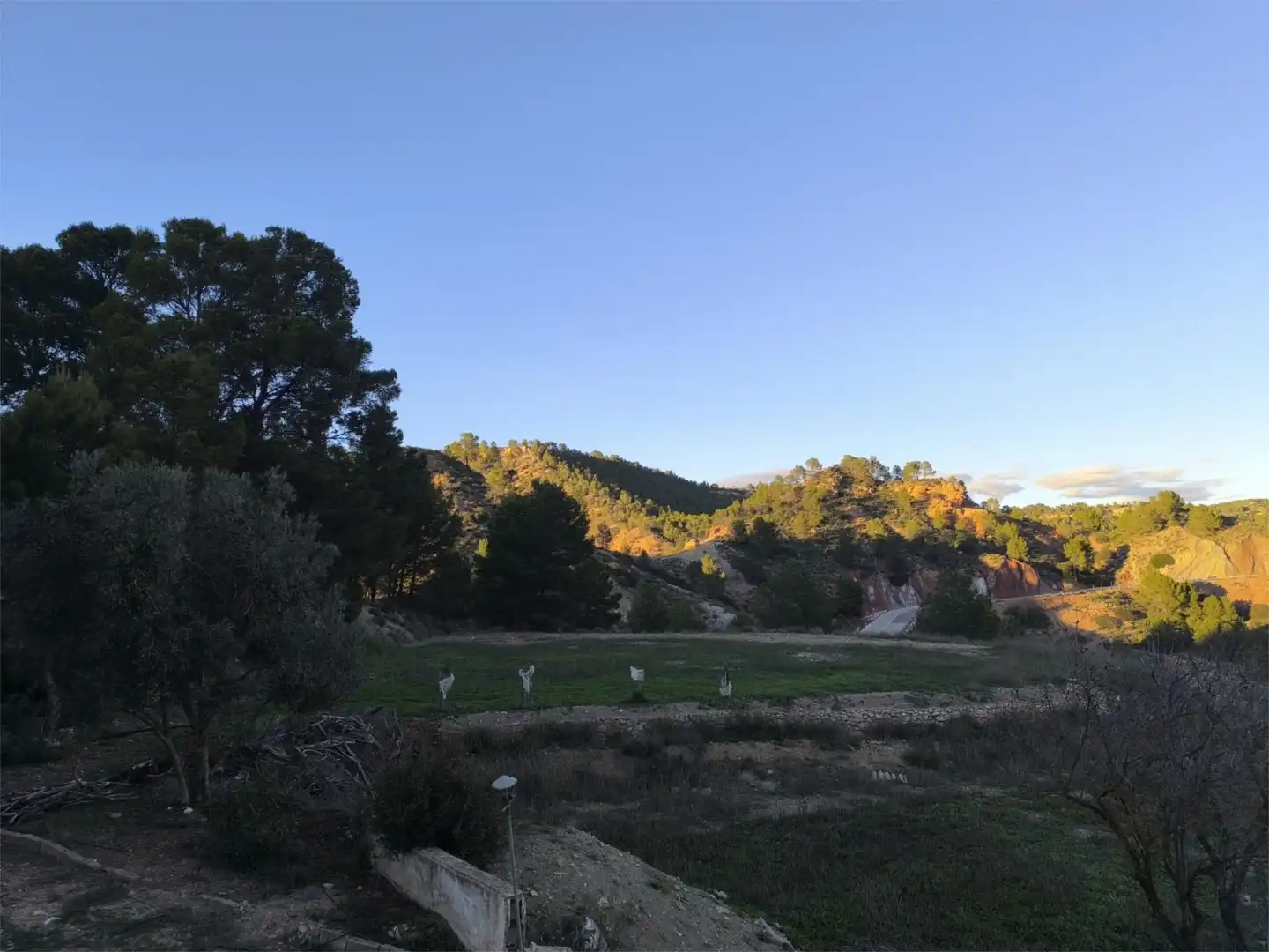 Terreno en venta en N-330, 53, Cofrentes Vista exterior de Terreno en venta en Cofrentes