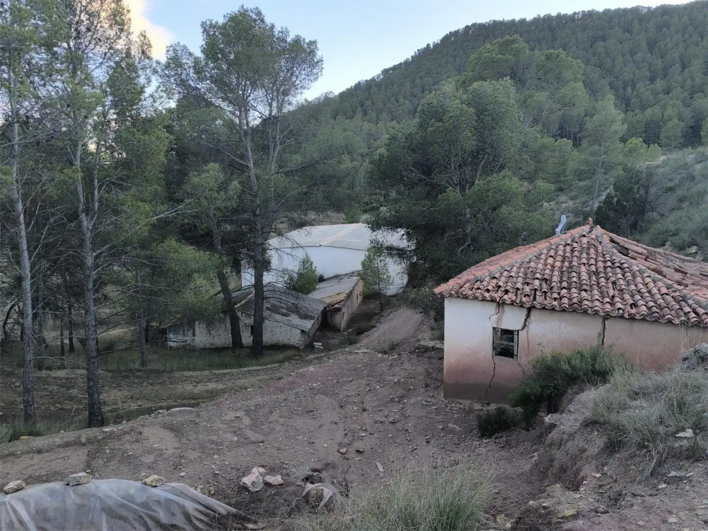 Terreno en venta en N-330, 53, Cofrentes Vista exterior de Terreno en venta en Cofrentes