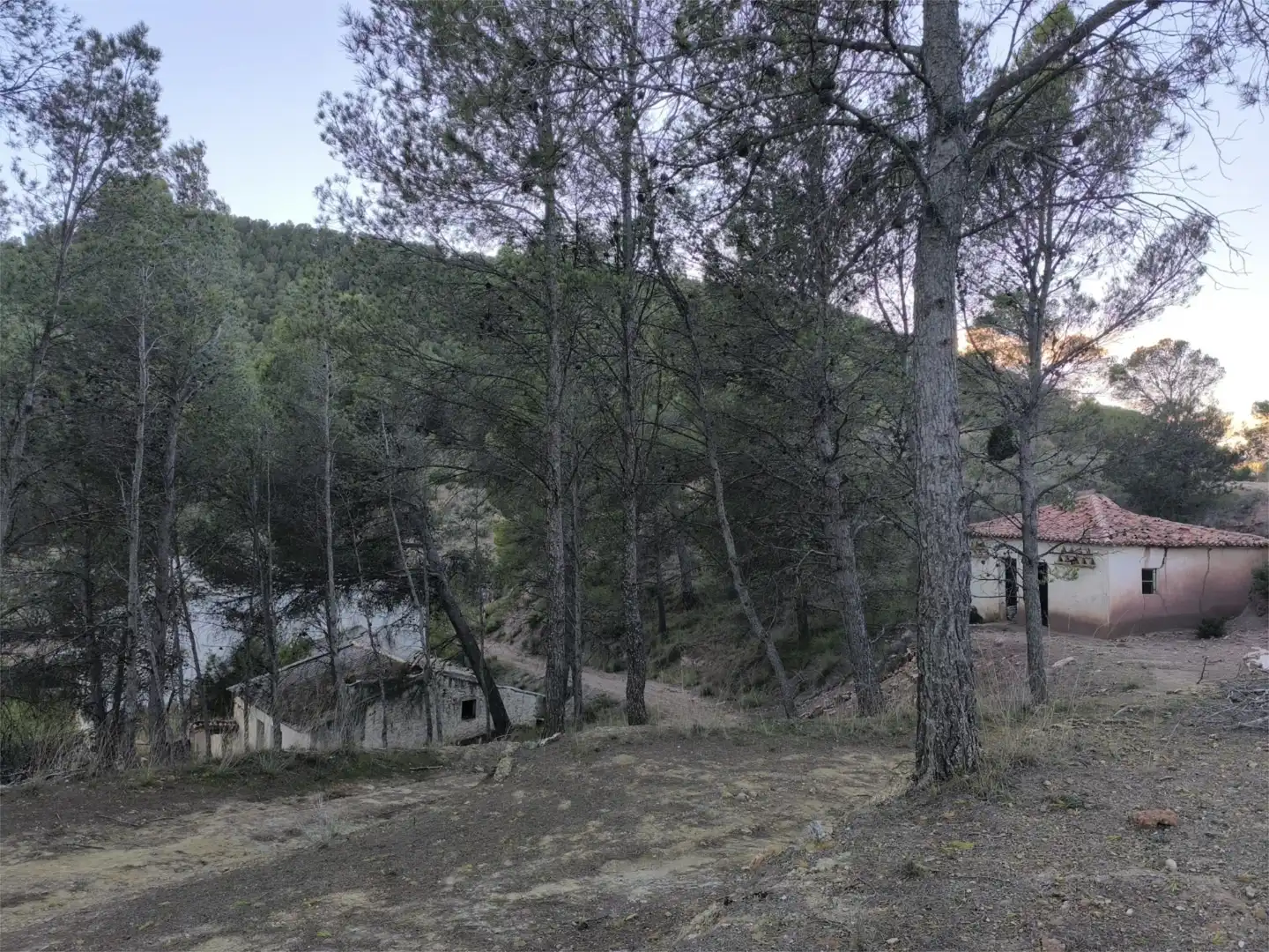 Terreno en venta en N-330, 53, Cofrentes Terreno en venta en Cofrentes