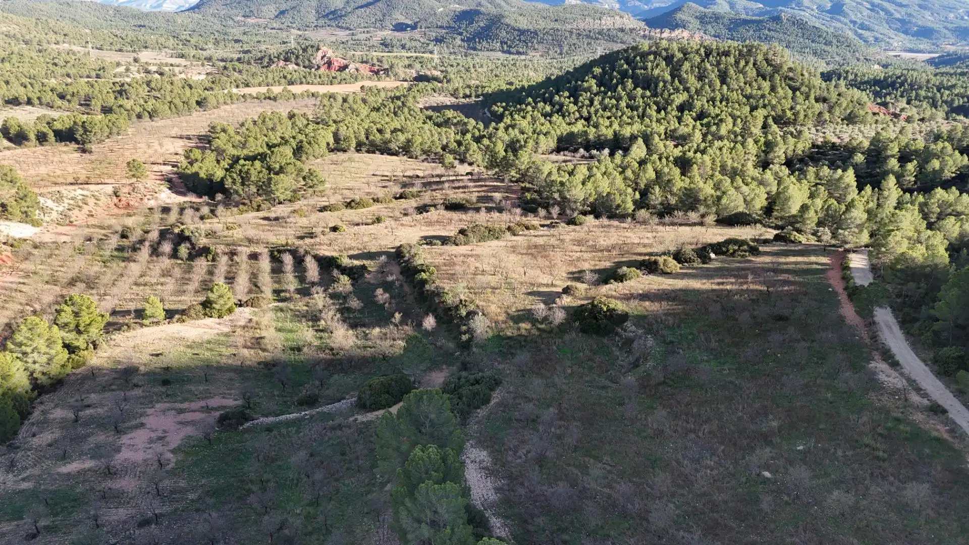 Terreno en venta en N-330, 53, Cofrentes Terreno en venta en Cofrentes