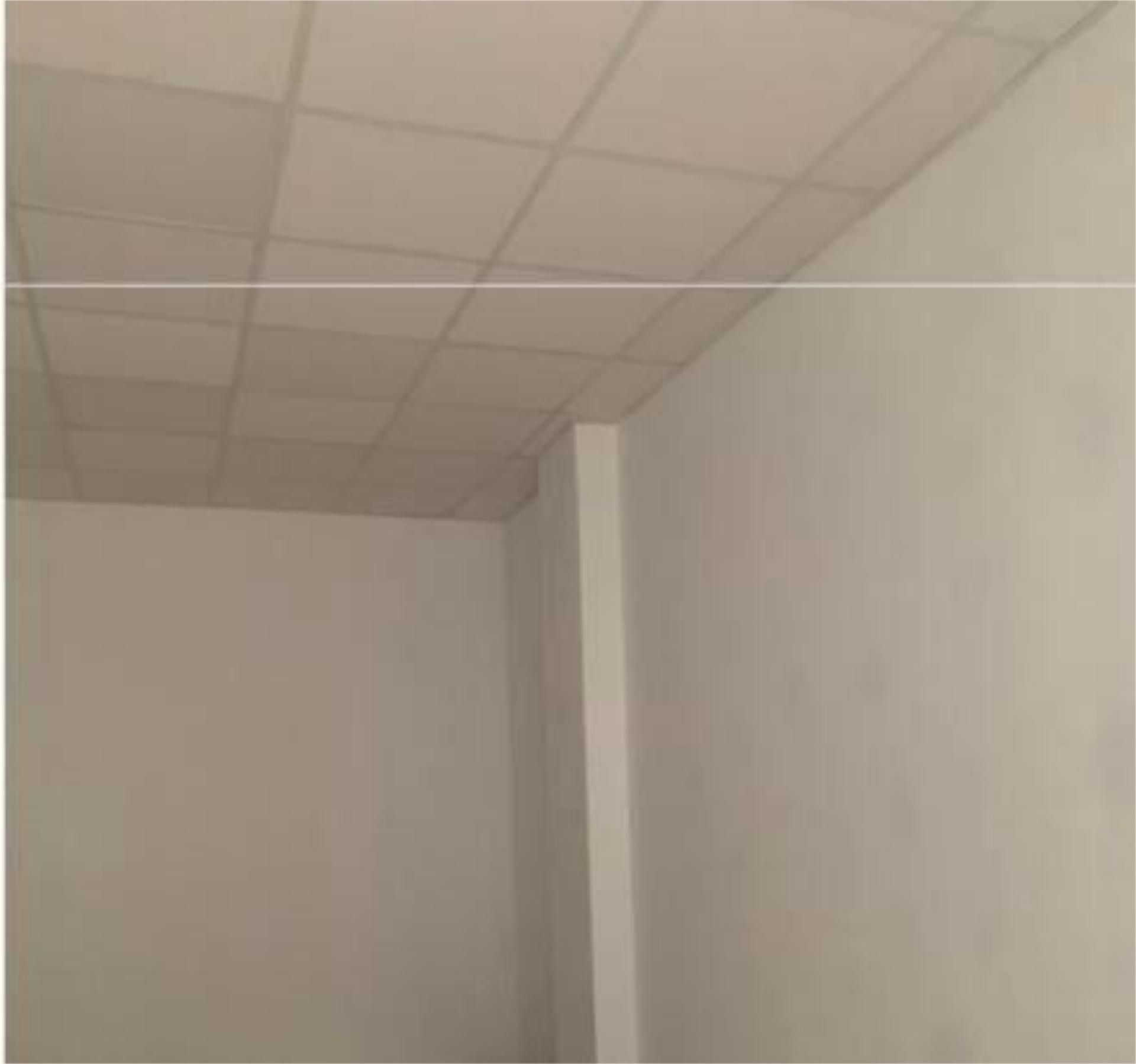 Traster de lloguer en Villaviciosa de Odón