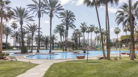 Foto 3 de Piso en venta en Carrer D'alboran, 1, Playa Muchavista, El Campello