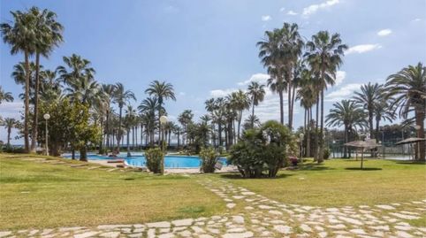Foto 5 de Piso en venta en Carrer D'alboran, 1, Playa Muchavista, El Campello