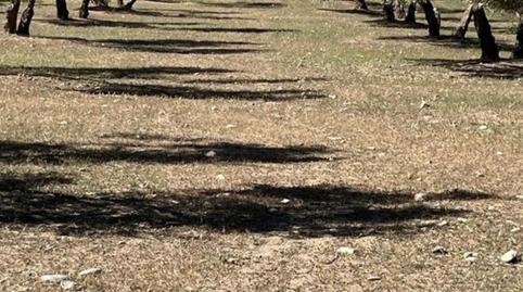 Photo 3 of Country house for sale in Calle Rector Mesa Moles, 1, Las Flores - Huerta, Las Gabias