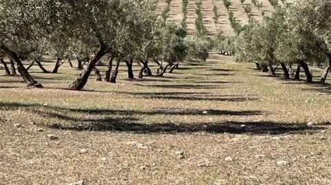 Photo 4 of Country house for sale in Calle Rector Mesa Moles, 1, Las Flores - Huerta, Las Gabias