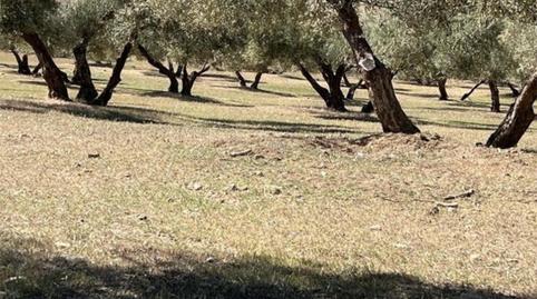 Photo 5 of Country house for sale in Calle Rector Mesa Moles, 1, Las Flores - Huerta, Las Gabias