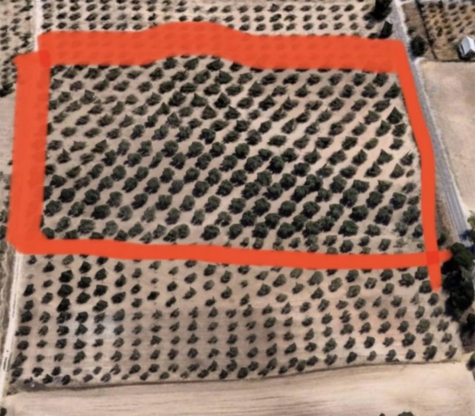 Finca rústica en venta en Calle Rector Mesa Moles, 1, Las Flores - Huerta Vista exterior de Finca rústica en venta en Las Gabias