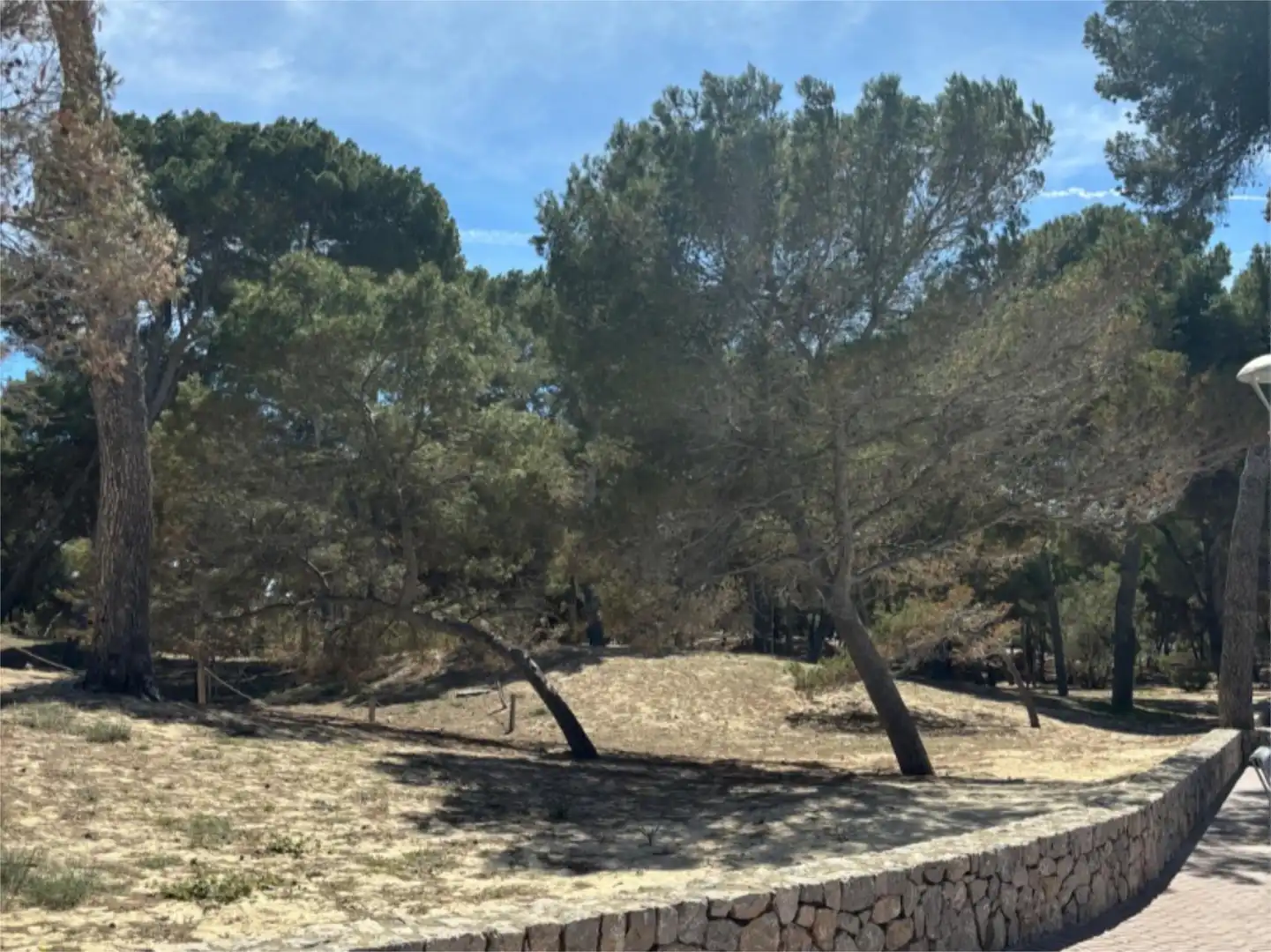 Flat for sale in Calvià  with Air Conditioner, Furnished and Community parking