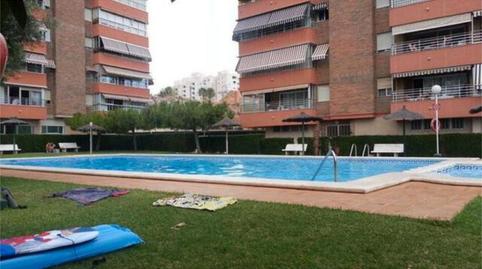 Apartamento de alquiler en PAU 5, Alicante - imagen 3 Foto 3 de Apartamento de alquiler en PAU 5, Alicante