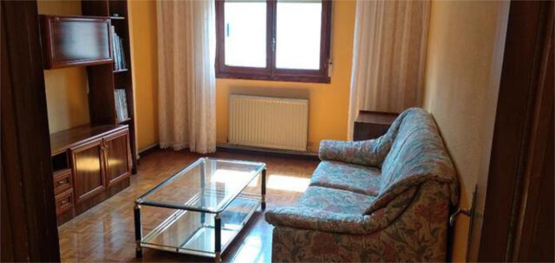 Sala d'estar de Pis de lloguer en Burgos Capital amb Calefacció, Terrassa i Moblat