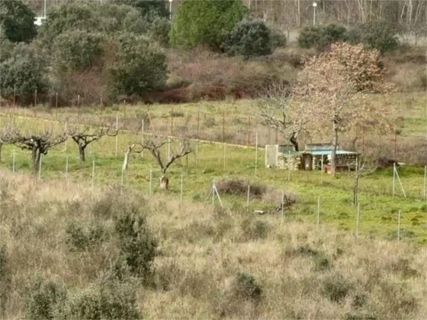 Flat for sale in Carretera Campo, Urbanización Patricia - Campo Flat for sale in Ponferrada with Private garden