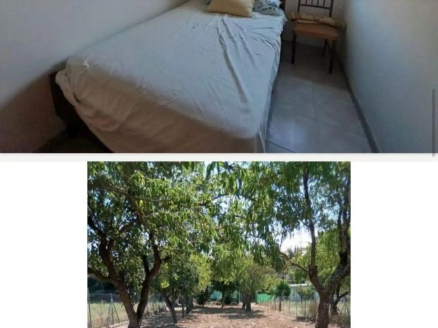 Flat for sale in Carretera Campo, Urbanización Patricia - Campo Bedroom of Flat for sale in Ponferrada with Private garden