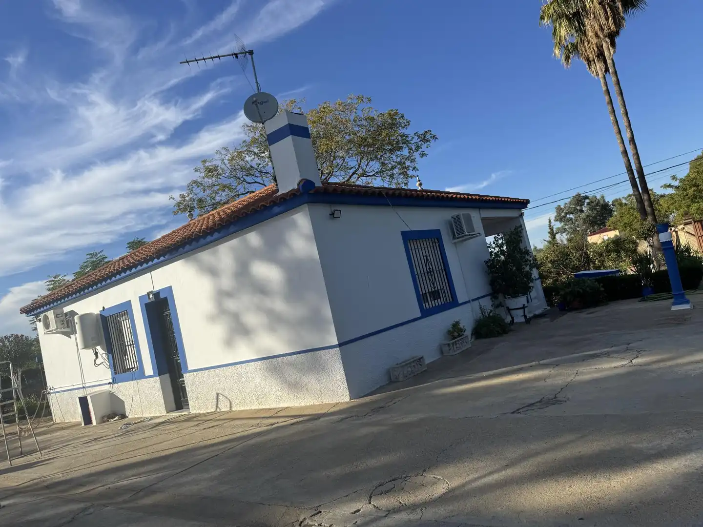 Vista exterior de Casa o chalet en venta en Carmona con Aire acondicionado, Jardín privado y Terraza