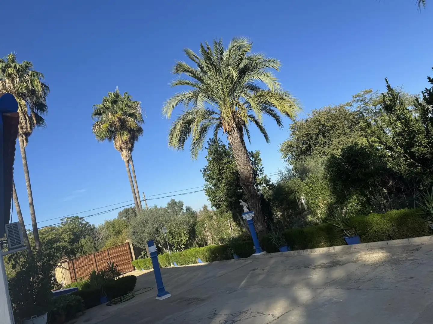 Vista exterior de Casa o chalet en venta en Carmona con Aire acondicionado, Jardín privado y Terraza