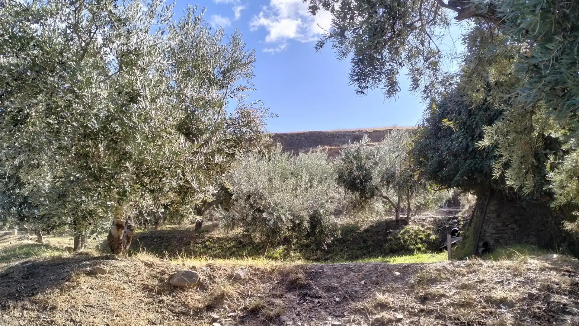 Terreno en venta en Diseminado Cr Estacion Abla, 9, Abla Terreno en venta en Abla
