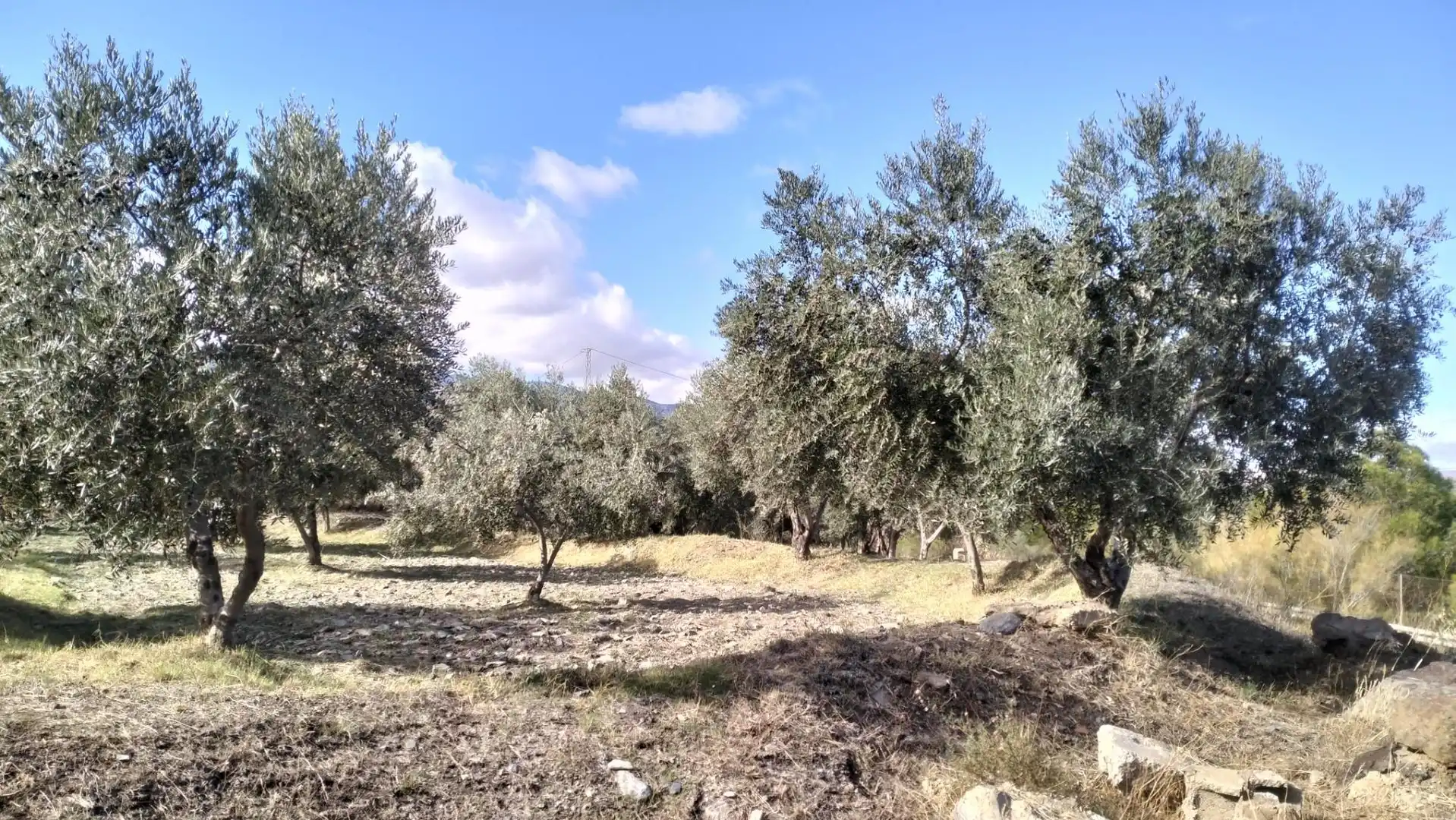 Terreno en venta en Diseminado Cr Estacion Abla, 9, Abla Terreno en venta en Abla