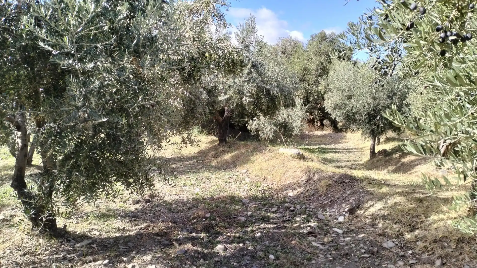 Terreno en venta en Diseminado Cr Estacion Abla, 9, Abla Terreno en venta en Abla