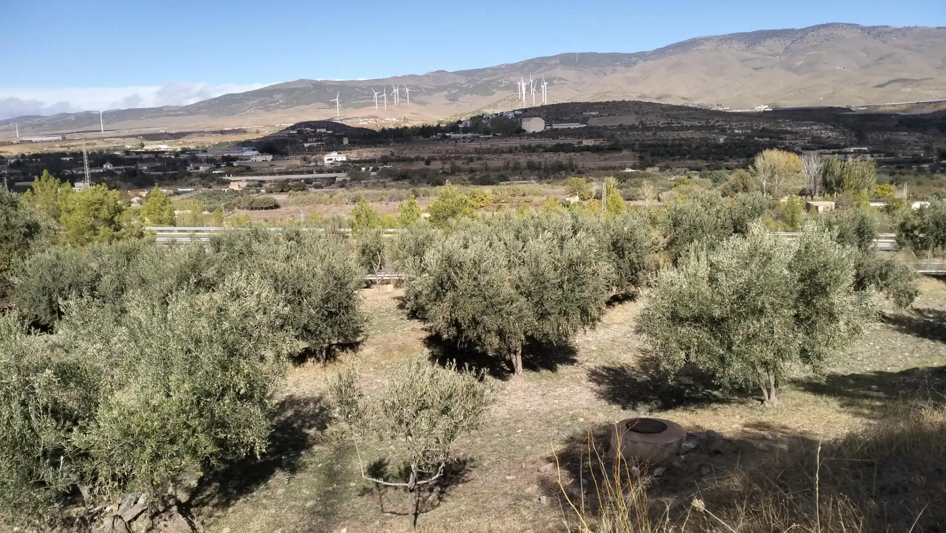 Terreno en venta en Diseminado Cr Estacion Abla, 9, Abla Jardín de Terreno en venta en Abla