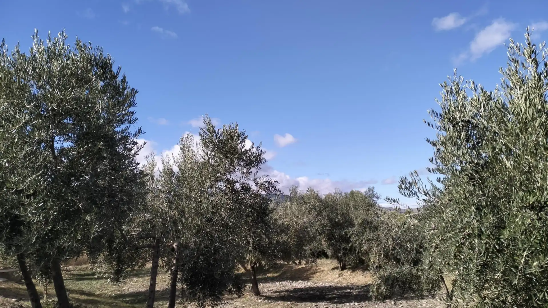 Terreno en venta en Diseminado Cr Estacion Abla, 9, Abla Terreno en venta en Abla