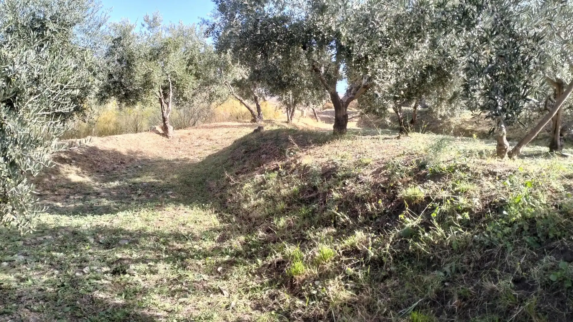 Terreno en venta en Diseminado Cr Estacion Abla, 9, Abla Terreno en venta en Abla