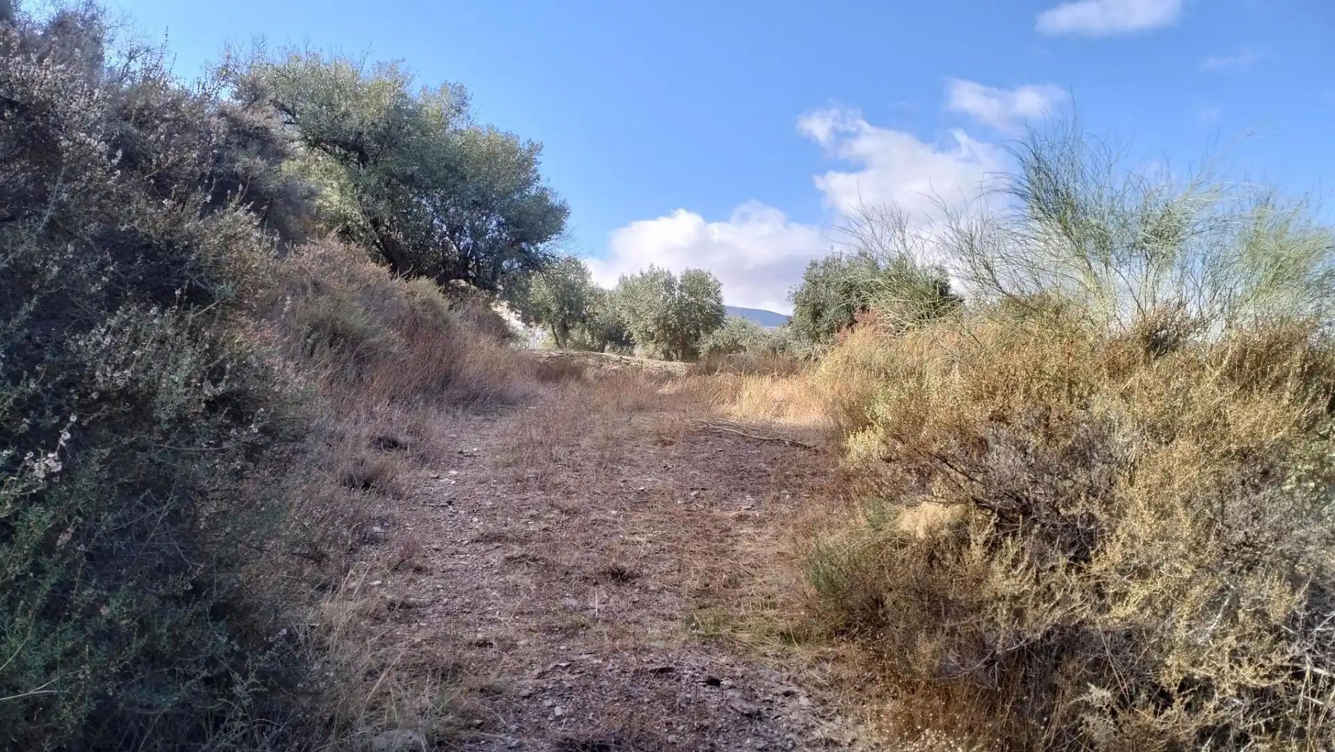 Terreno en venta en Diseminado Cr Estacion Abla, 9, Abla Terreno en venta en Abla