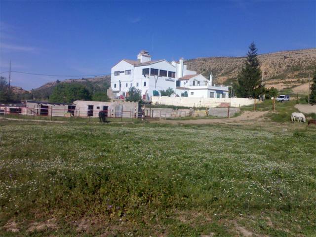 Casa-chalet en Venta en Calle de Serrano, 200 en El Viso