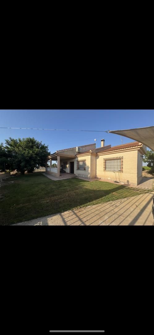 Exterior view of House or chalet to rent in Torre-Pacheco  with Terrace