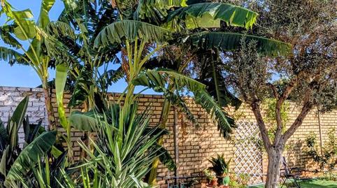 Casa o xalet en venda a Calle B, 36, La Hacienda - Nueva Andalucía, Sevilla - imatge 5 Foto 5 de Casa o xalet en venda a Calle B, 36, La Hacienda - Nueva Andalucía, Sevilla