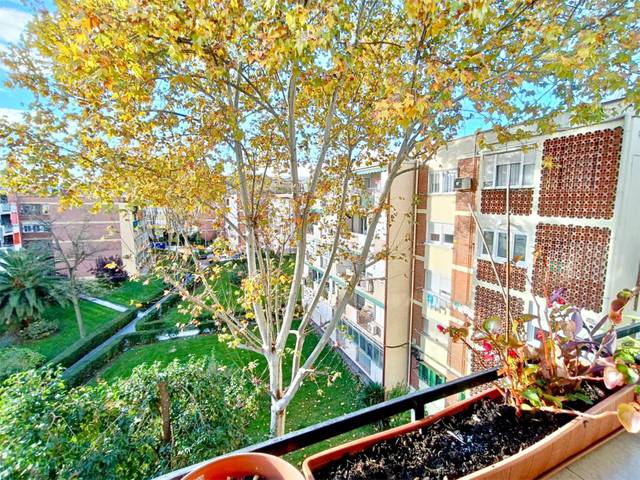 Piso en Venta en Colonia Occidente, 8 en Rejas