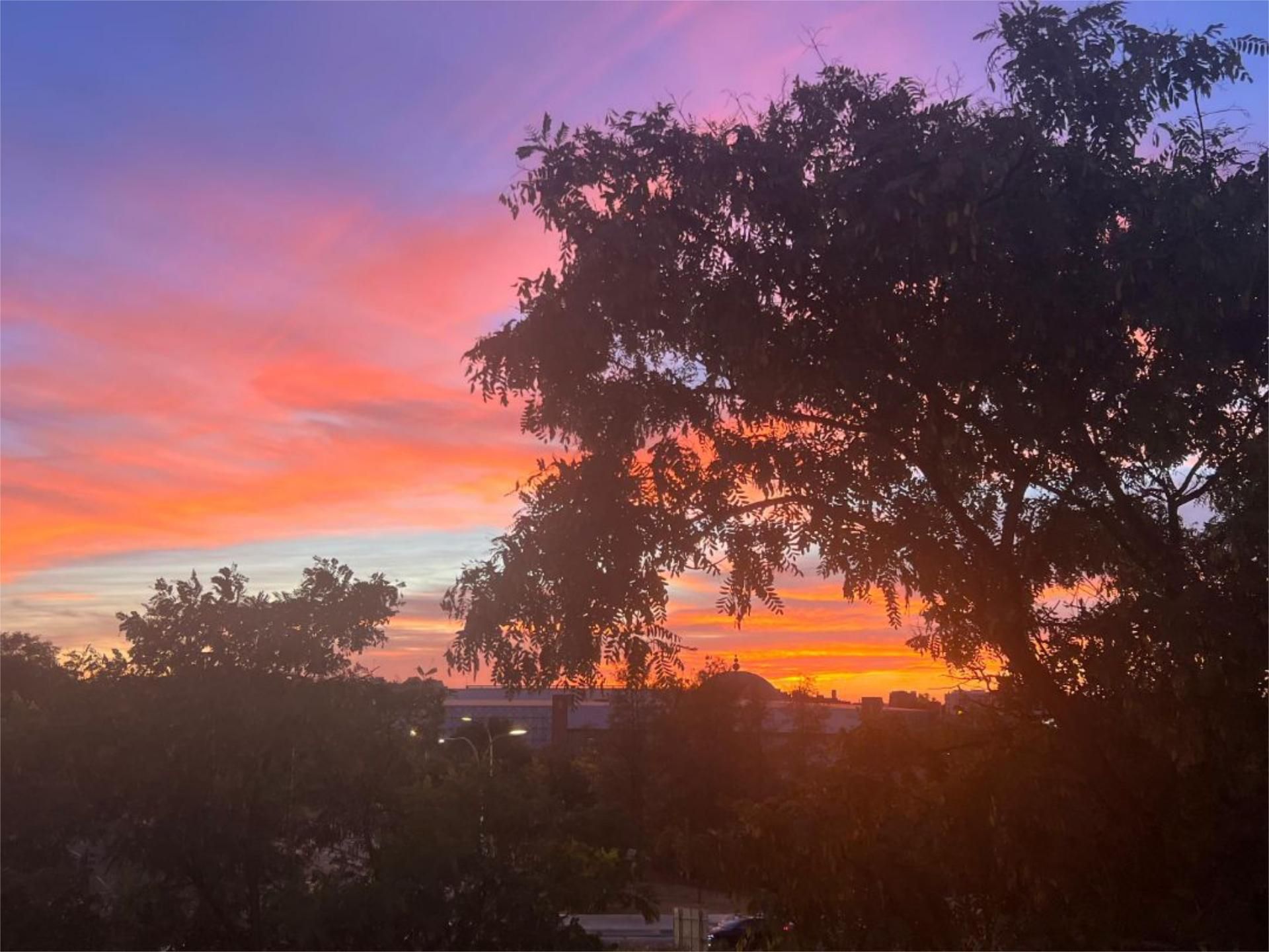 Vista exterior de Pis de lloguer en  Sevilla Capital amb Aire condicionat, Moblat i Balcó