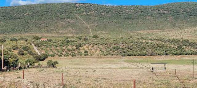 Casa-chalet en Venta en Conquista de la Sierra