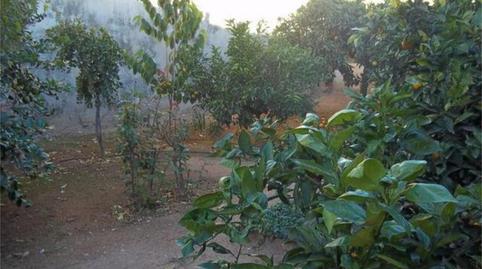 Casa o xalet en venda a La Aljorra, Murcia - imatge 4 Foto 4 de Casa o xalet en venda a La Aljorra, Murcia