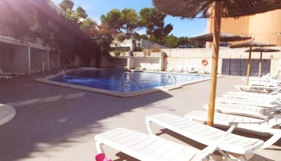 Piso en venta en Glorieta del Reino Unido, 5, Palmeral, Alicante - imagen 1 Foto 1 de Piso en venta en Glorieta del Reino Unido, 5, Palmeral, Alicante