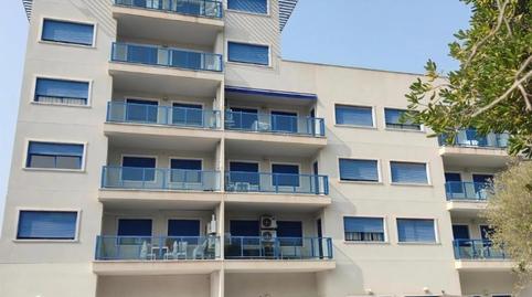 Piso en venta en Glorieta del Reino Unido, 5, Palmeral, Alicante - imagen 5 Foto 5 de Piso en venta en Glorieta del Reino Unido, 5, Palmeral, Alicante