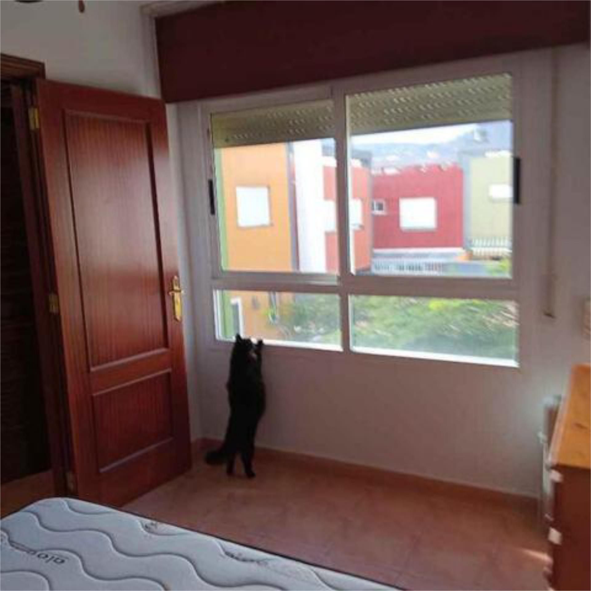 House or chalet to rent in Llano del Moro