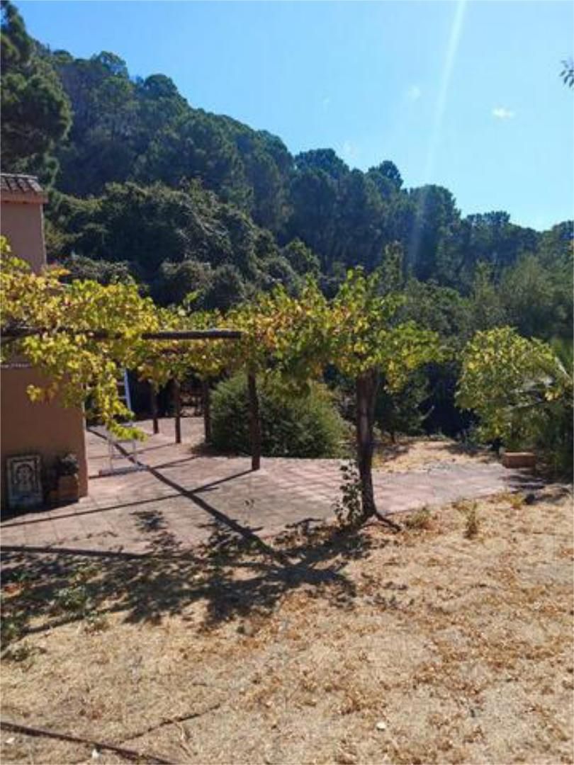 Jardí de Casa o xalet en venda en Jubrique amb Terrassa