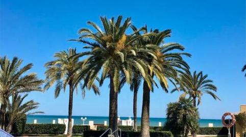 Apartment to rent in Les Bovetes - La Felicidad, Alicante - image 3 Photo 3 of Apartment to rent in Les Bovetes - La Felicidad, Alicante