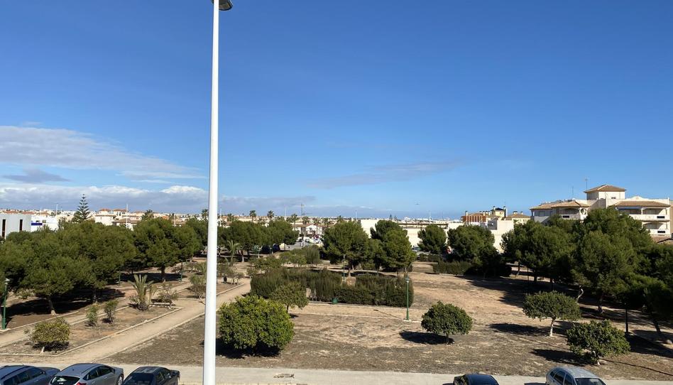 Pis de lloguer a Calle Ramón y Cajal, 7, La Zenia, Alicante - imatge 1 Foto 1 de Pis de lloguer a Calle Ramón y Cajal, 7, La Zenia, Alicante