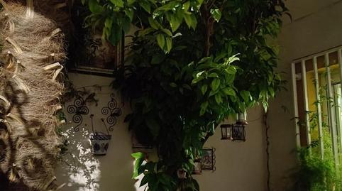 Photo 4 of Single-family semi-detached for sale in Calle la Cuerda, 4, Torralba de Calatrava, Ciudad Real