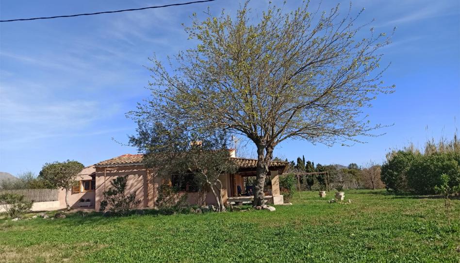 Country house to rent in Pollença Poble, Illes Balears - image 1 Photo 1 of Country house to rent in Pollença Poble, Illes Balears