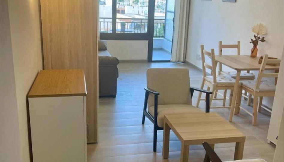 Photo 1 of Flat to rent in Avinguda del Rei Jaume I, 1, Santa Ponça, Illes Balears