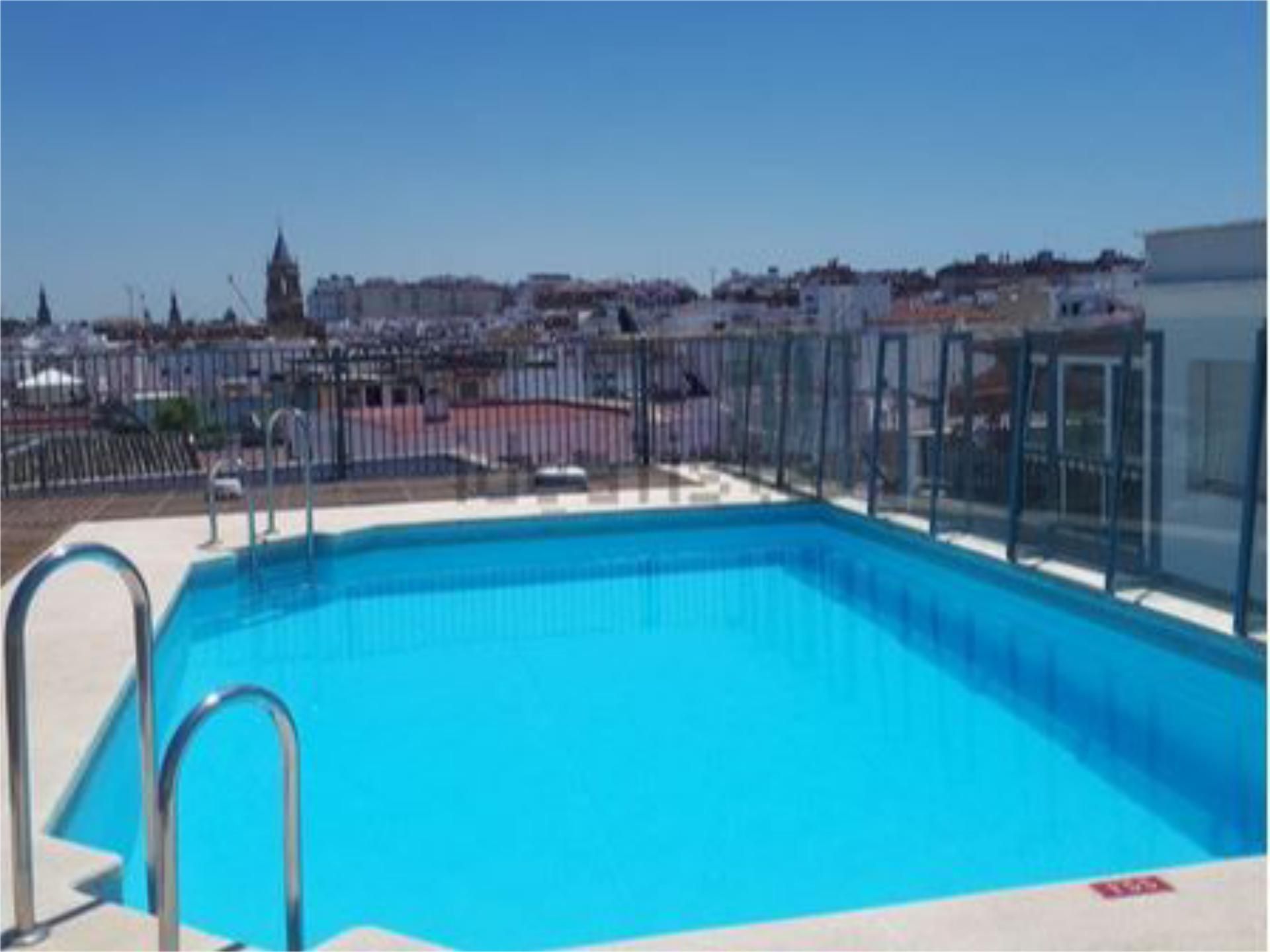 Swimming pool of Flat to rent in  Sevilla Capital
