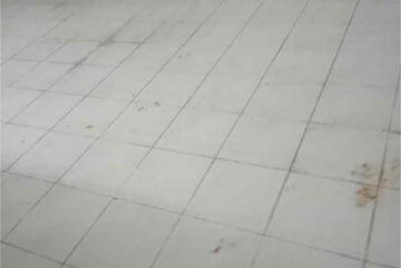 Box room to rent in Les Boqueres - Santa Quiteria, Castellón - image 1 Photo 1 of Box room to rent in Les Boqueres - Santa Quiteria, Castellón