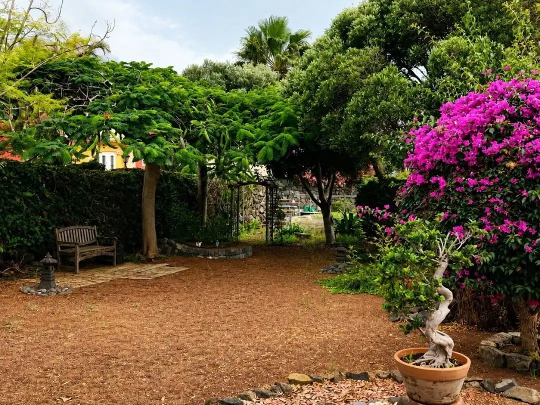 Garden of Houses for sale in Buenavista del Norte  with Terrace, Swimming Pool and Balcony