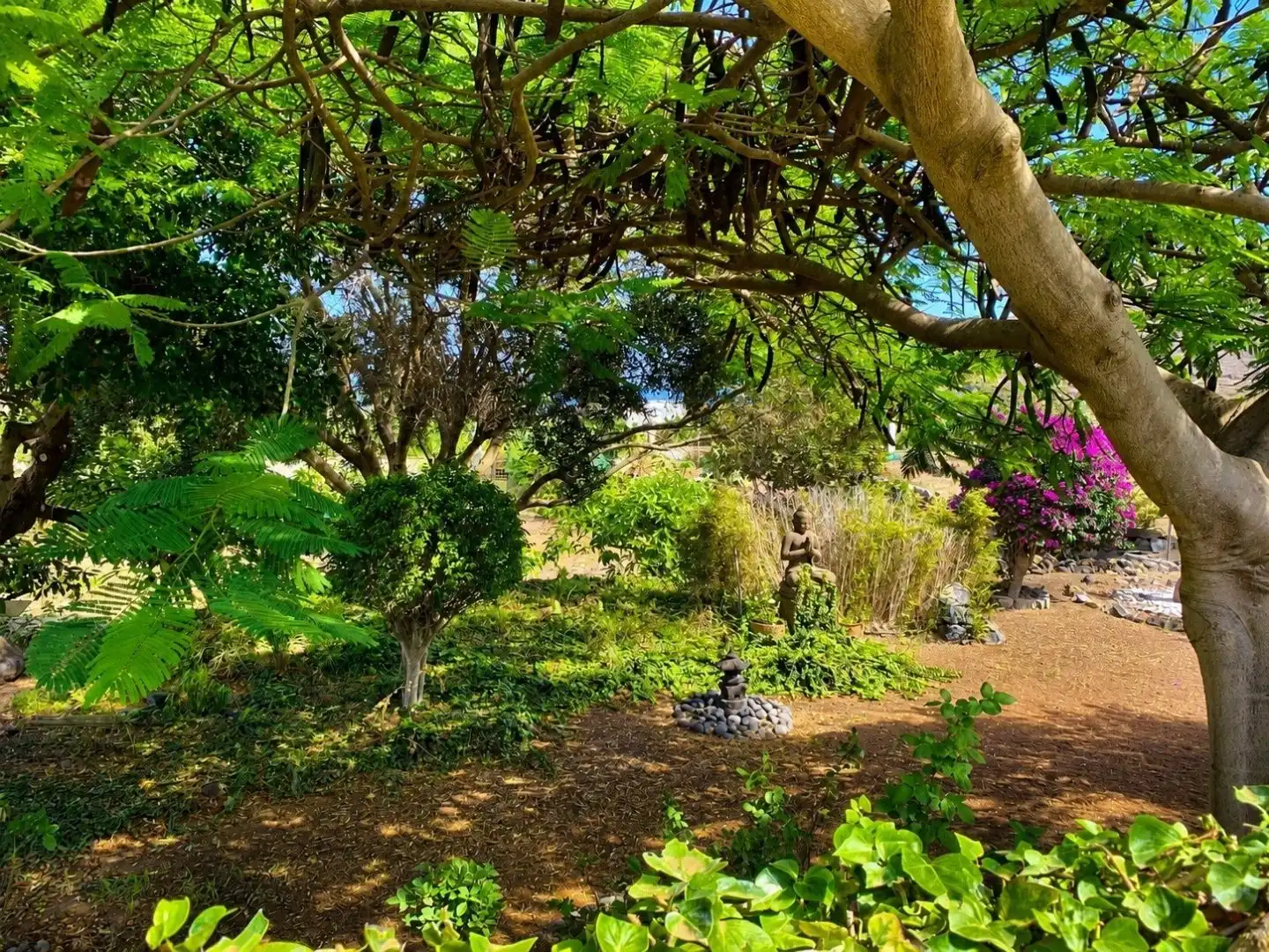 Garden of Houses for sale in Buenavista del Norte  with Terrace, Swimming Pool and Balcony