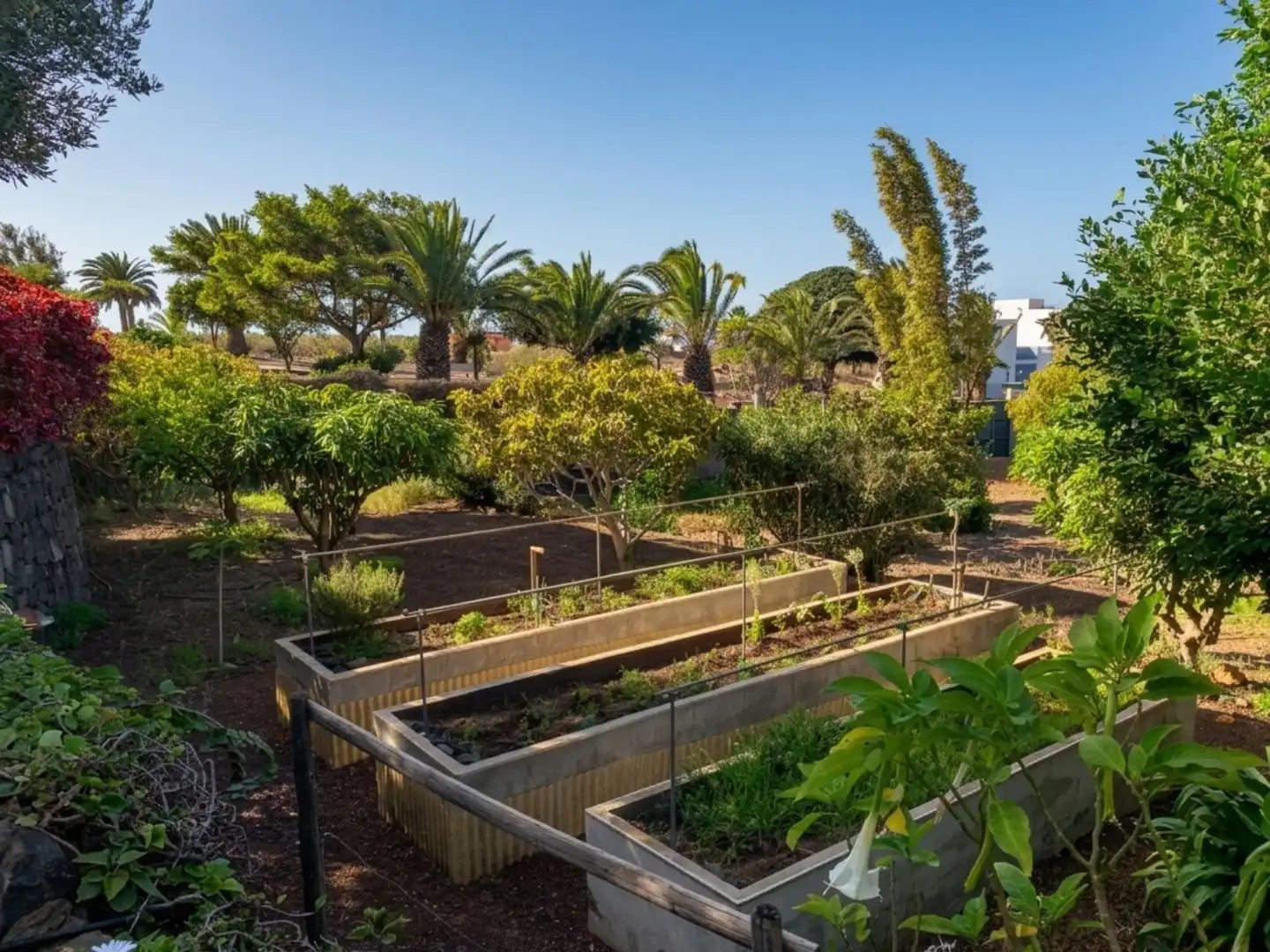 Garden of Houses for sale in Buenavista del Norte  with Terrace, Swimming Pool and Balcony