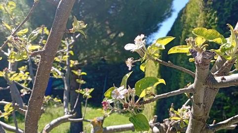 Flat for sale in Calle Quintanaseca, 14, Valle de Santibáñez, Burgos - image 4 Photo 4 of Flat for sale in Calle Quintanaseca, 14, Valle de Santibáñez, Burgos