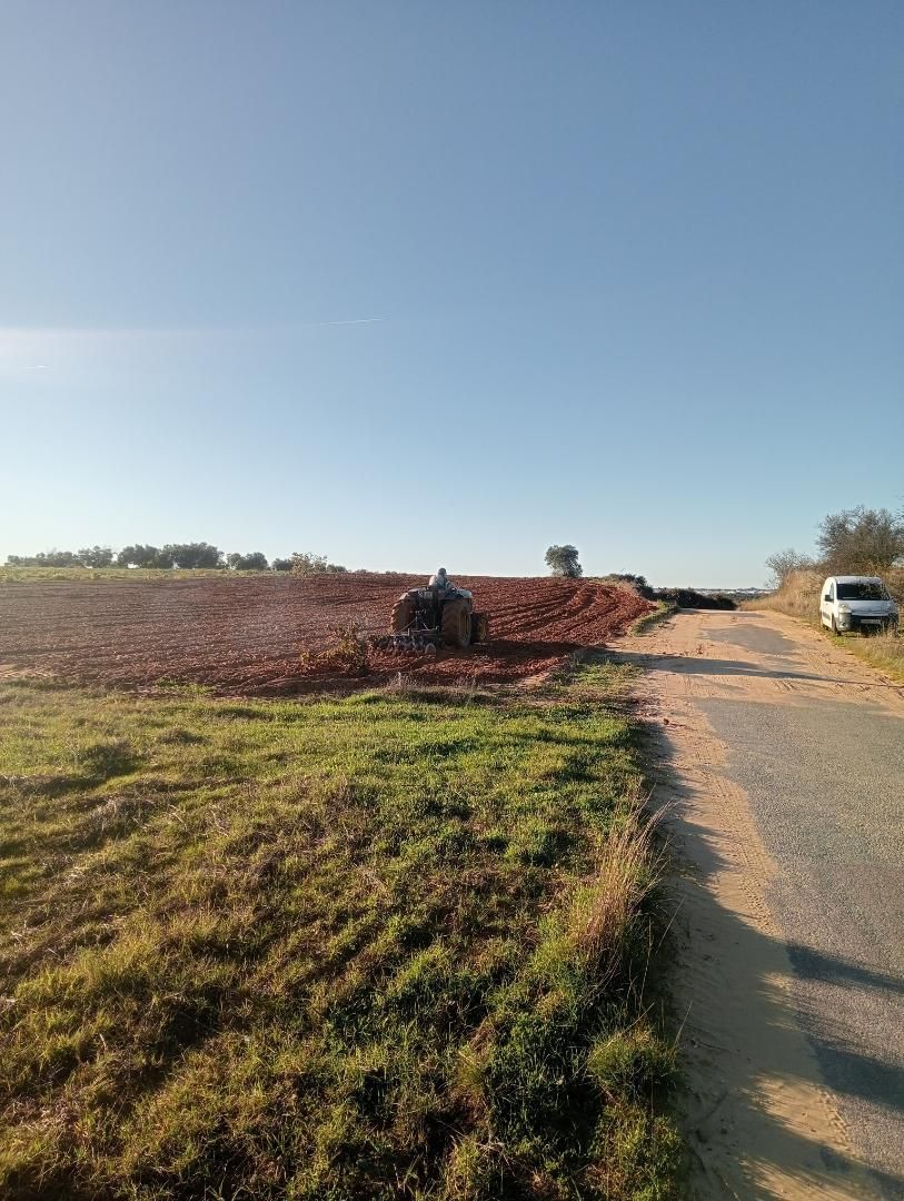 Country house zum verkauf in Bollullos Par del Condado