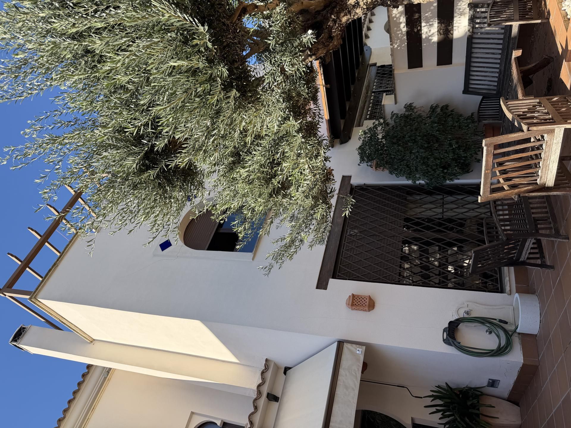 Jardí de Casa o xalet en venda en Sanlúcar de Barrameda amb Aire condicionat i Terrassa