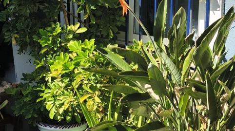 Planta baja for sale in Calle San Damián, 6, Los Dolores, Murcia - image 2 Photo 2 of Planta baja for sale in Calle San Damián, 6, Los Dolores, Murcia